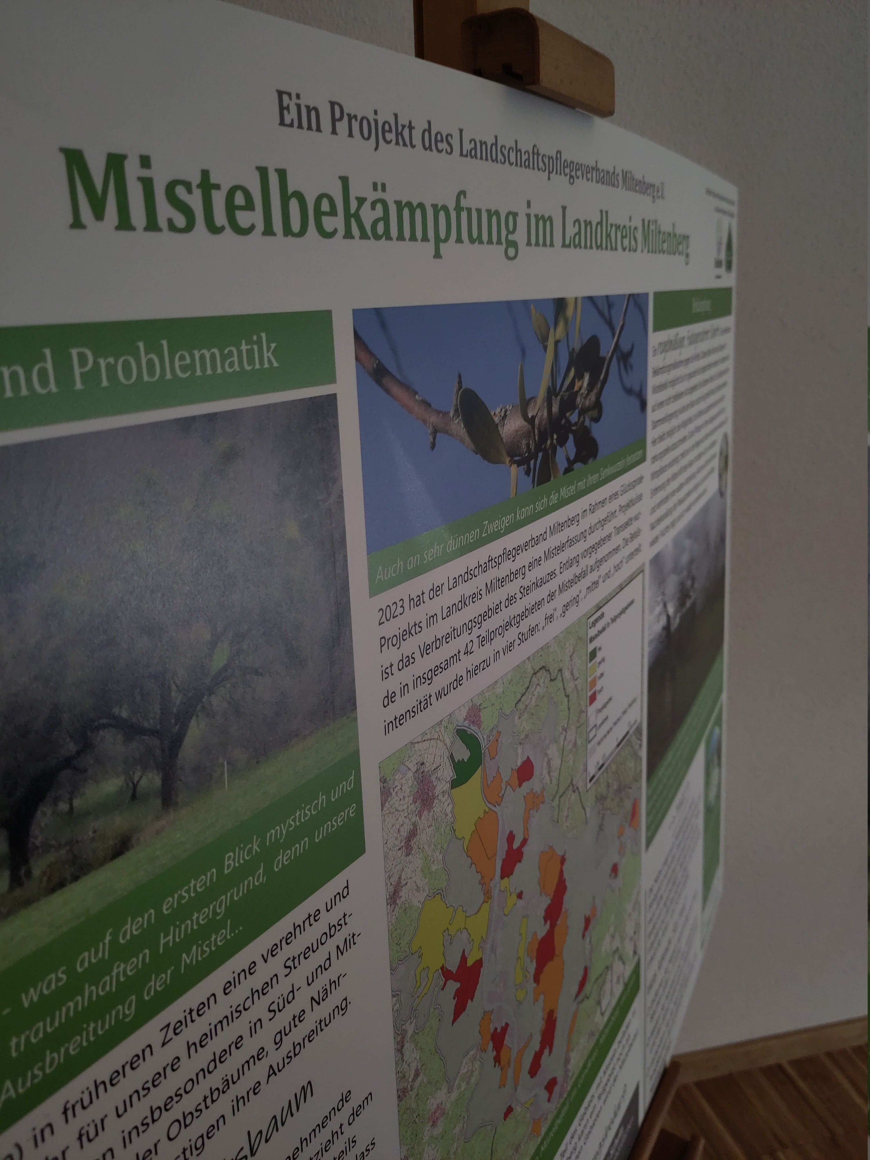 Aufsteller zur Mistelerhebung