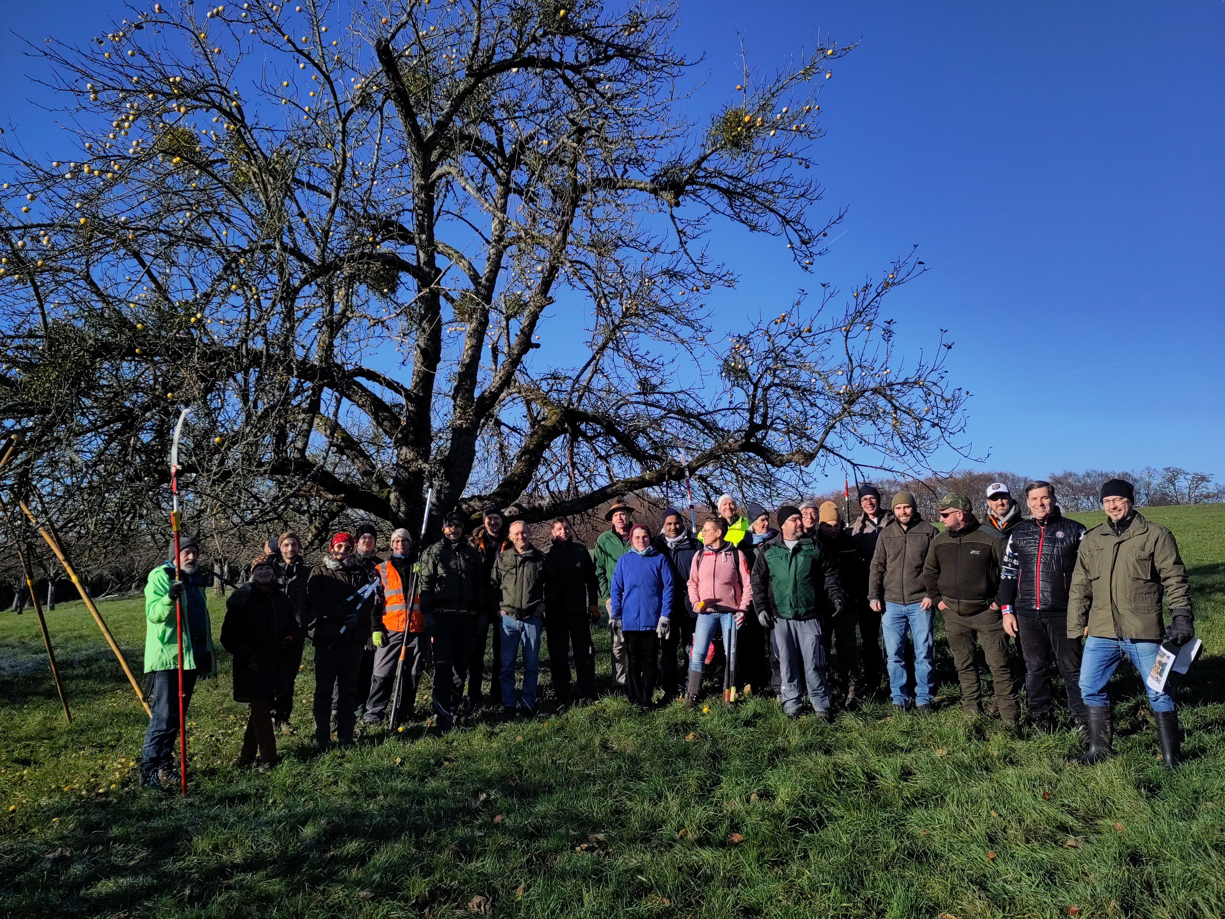 Gruppe beim Mistelwart Seminar